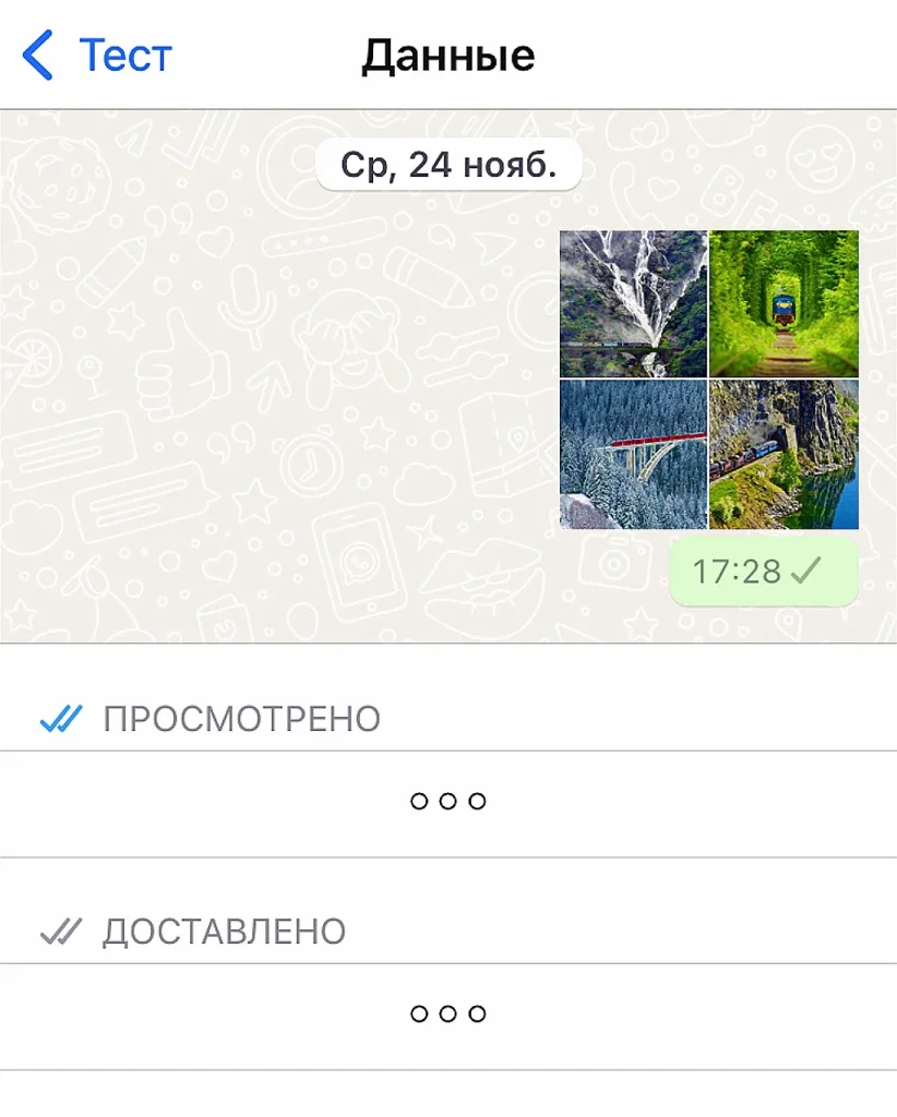 Безопасность в вотсапп wep, как защитить свои данные?